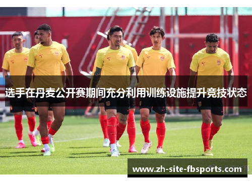 选手在丹麦公开赛期间充分利用训练设施提升竞技状态