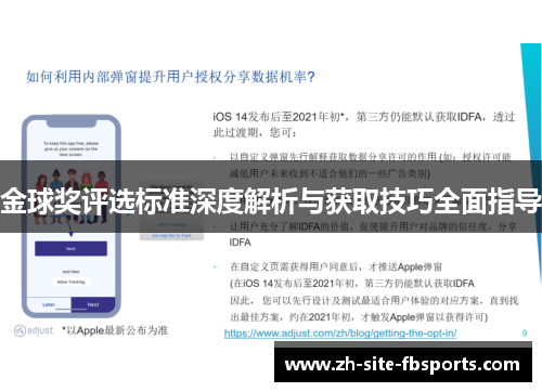 金球奖评选标准深度解析与获取技巧全面指导